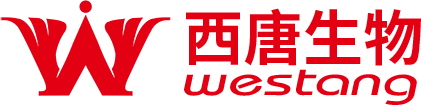 主頁(yè)-恢復(fù)的_03.png